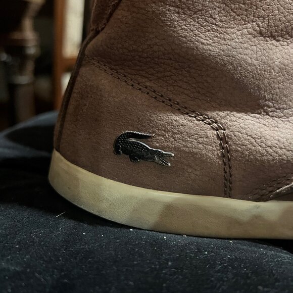 Magnificent Alligator Kicks like BOSS - Picture 5 of 7